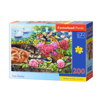 Puzzle 200 elemente