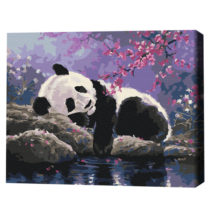 Pictură pe numere 40×50 cm (în cutie) – Somnul dulce al pandei