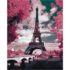 Pictură pe numere 40×50 cm (în cutie) – Magnolie la Paris