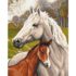 Pictură pe numere 40*50 сm (fără cutie)  – Familie de cai