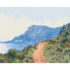 Pictură pe numere 40*50 сm (fără cutie)  –  Drum de munte din Monaco. Claude Monet