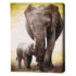Pictură pe numere 40*50 сm (fără cutie)  – Primele zile ale puiului de elefant