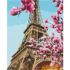 Pictură pe numere 30*40 сm (fără cutie) – Sakura la Paris