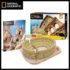 3D puzzle “Colosseum”, 131 elemente
