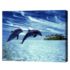 Pictură pe numere – Delfinii de pe coastă