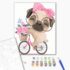 Pictură pe numere 30*40 сm (fără cutie) – Pug cu bicicleta la plimbare