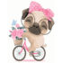 Pictură pe numere 30*40 сm (fără cutie) – Pug cu bicicleta la plimbare