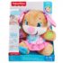 Fisher-Price Surioara Catelului Invatat Smart Stages (rus.)