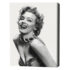 Pictură pe numere 40*50 cm (în cutie) – Monroe care nu se uită