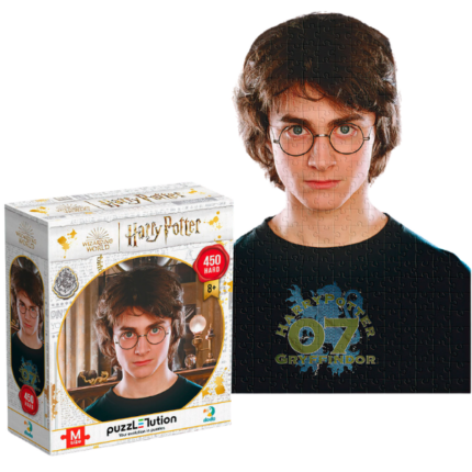Puzzle "Portretul lui Harry", seria Harry Potter, 450  elem.