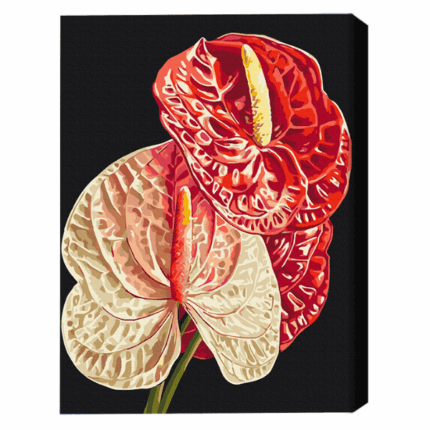 Pictură pe numere 40*50 сm (în cutie)  – Anthurium