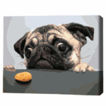 Pictură pe numere 40×50 cm (fără cutie)  –  Mopsul Setul include: 	pânză de bumbac cu o diagramă numerotată a imaginii, pe o ramă de lemn 	 3 perii de diferite grosimi 	 vopsele acrilice numerotate 	 monturi pentru fixare pe perete
