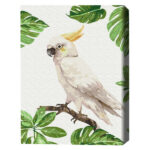 Pictură pe numere 30*40 сm (fără cutie) – Cacatua alb Setul include: 	pânză de bumbac cu o diagramă numerotată a imaginii, pe o ramă de lemn 	 3 perii de diferite grosimi 	 vopsele acrilice numerotate 	 monturi pentru fixare pe perete