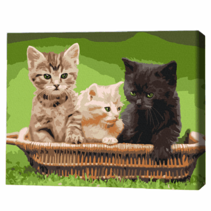 Pictură pe numere 30*40 сm (fără cutie) – Pisoi în coș Setul include: 	pânză de bumbac cu o diagramă numerotată a imaginii, pe o ramă de lemn 	 3 perii de diferite grosimi 	 vopsele acrilice numerotate 	 monturi pentru fixare pe perete