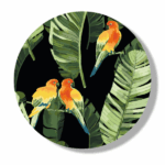 Pictură pe numere D 30 сm (fără cutie) – Papagali tropicali Setul include: 	pânză de bumbac cu o diagramă numerotată a imaginii, pe o ramă de lemn 	 3 perii de diferite grosimi 	 vopsele acrilice numerotate 	 monturi pentru fixare pe perete