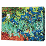 Pictură pe numere 30*40 сm (fără cutie) – Iriși – Vincent van Gogh Setul include: 	pânză de bumbac cu o diagramă numerotată a imaginii, pe o ramă de lemn 	 3 perii de diferite grosimi 	 vopsele acrilice numerotate 	 monturi pentru fixare pe perete