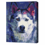 Pictură pe numere 30*40 сm (fără cutie) – Privirea lui Husky Setul include: 	pânză de bumbac cu o diagramă numerotată a imaginii, pe o ramă de lemn 	 3 perii de diferite grosimi 	 vopsele acrilice numerotate 	 monturi pentru fixare pe perete